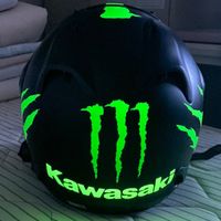 lion_inside4471