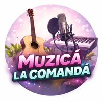 muzica_personaliz
