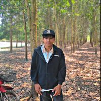 yan.paing.oo091
