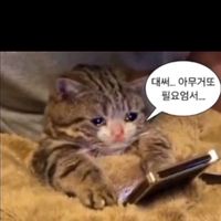 heixggjsgdj