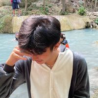npdchamp