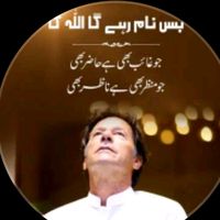 shafiullahmsd1