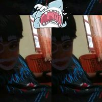 to.no399