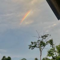 suara asli - Akungabut