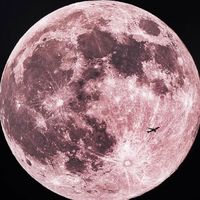 オリジナル楽曲 - こんぶくん