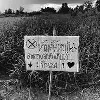 original sound - c735377