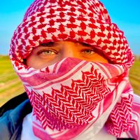 الصوت الأصلي