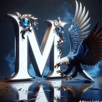 moussa.roune11