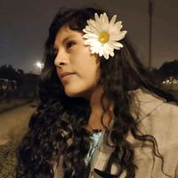 merlyqcane