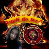 alisacebotari881