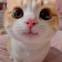 nhạc nền - thúy thúy 😉