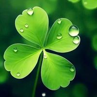 nhạc nền - Lisa Nguyen