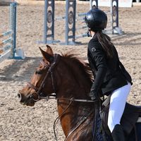 anaiis_equit