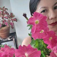 lilianaplantas