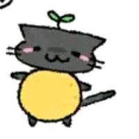cryxm_wy