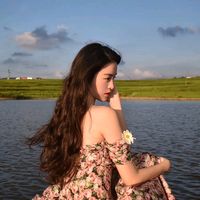 nhạc nền - Kim Vàng