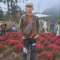 nhạc nền - Vws Yaj LiVe