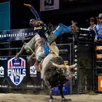 bullridingplus