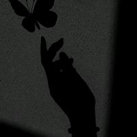 mari._62705