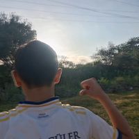 orijinal ses