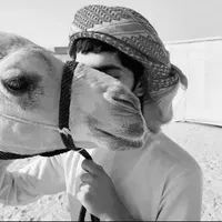 original sound - zfz.lol