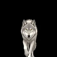 original sound - tiktok_user8097