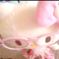 daisy_flower097