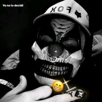 alk__17_