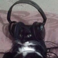 original sound