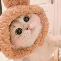 nongbowk