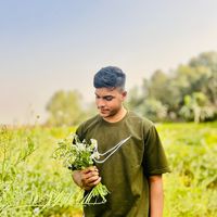 sakib8287