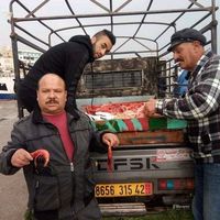 halimhalim6744