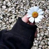 original sound - manal1039