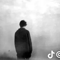 original sound - t.zanter