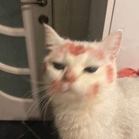 celiajazmin_