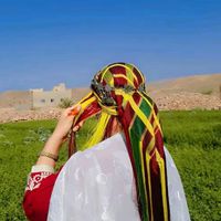 tamazight911