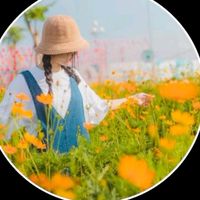 your_sunflower.26