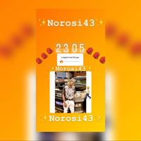 norosi43o