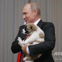 putinkirinki