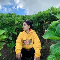 fernnanthida_567