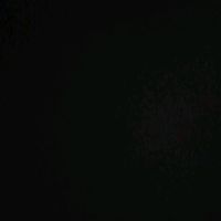 roro.elgn