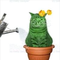 original sound - wria