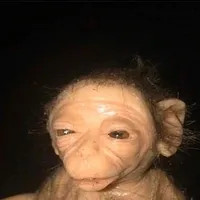 original sound - xinhiu_9