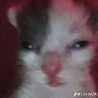mauzxxxx_77