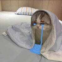 nashamonn