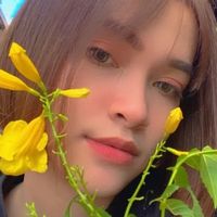 stam_rp