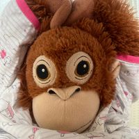 오리지널 사운드 - 마이쥬🍧