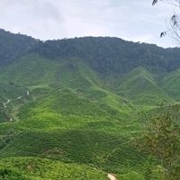 bunyi asal - Nabeel-Arsyad