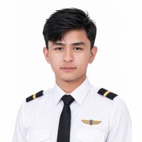 avi8tor_bikram380