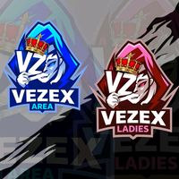 vezexldsarea